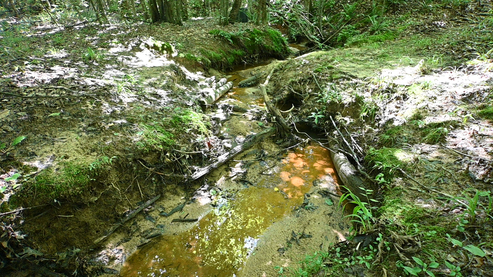 53± Acres for Sale in Decaturville, Tennessee