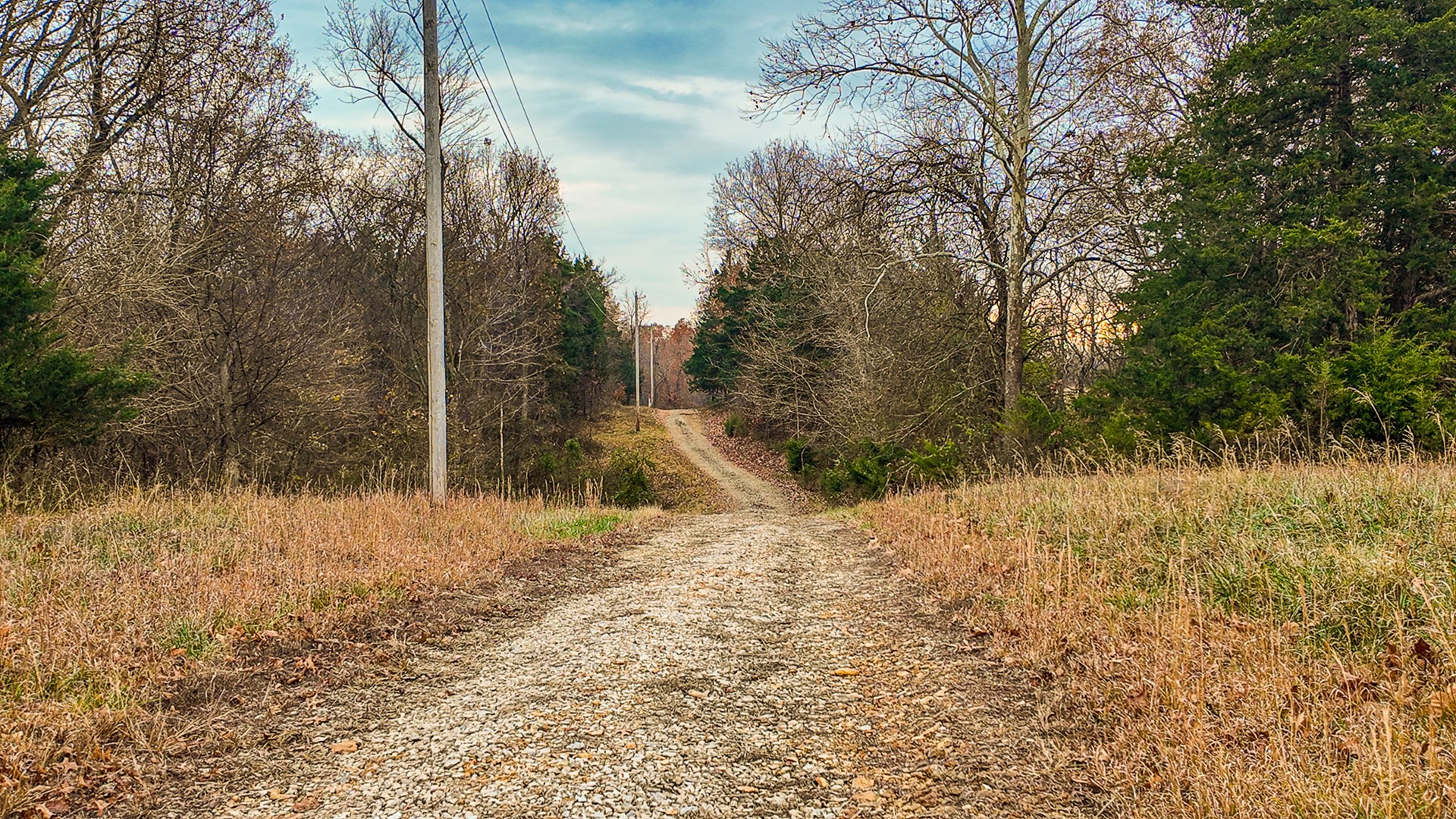 293 +/- acre hunting property for sale Lowry City MO