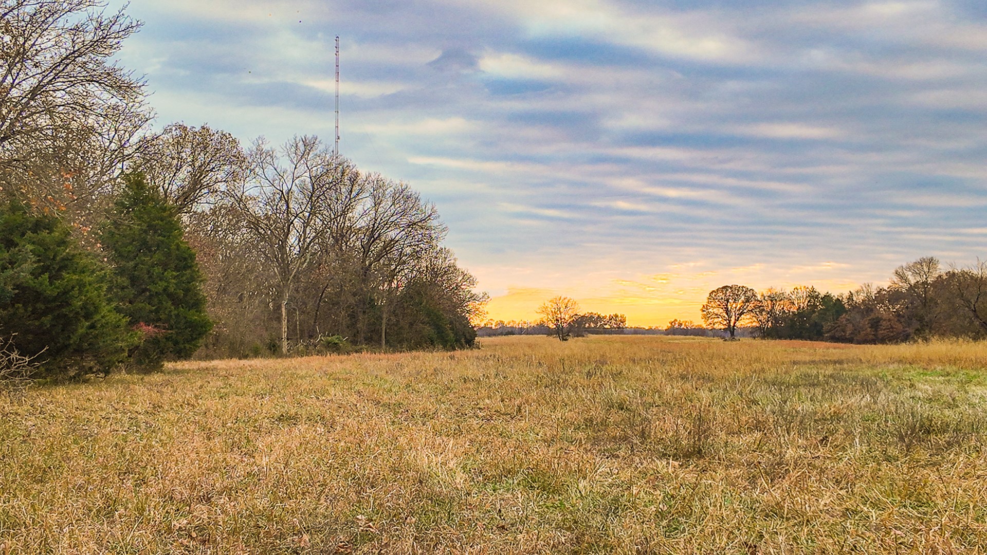 293 +/- acre hunting property for sale Lowry City MO