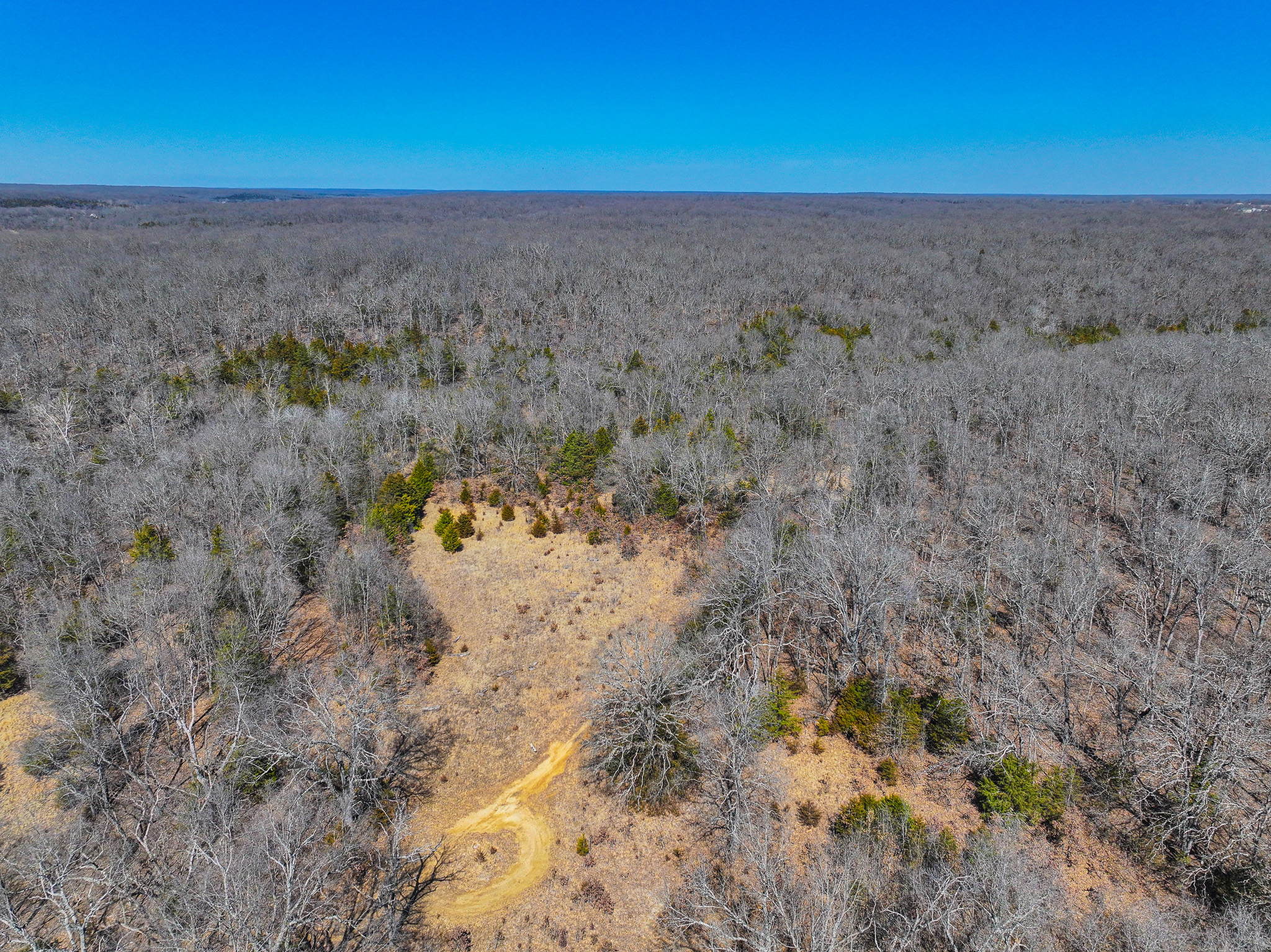 89+/- Acre Hunting property with a nice home and shop