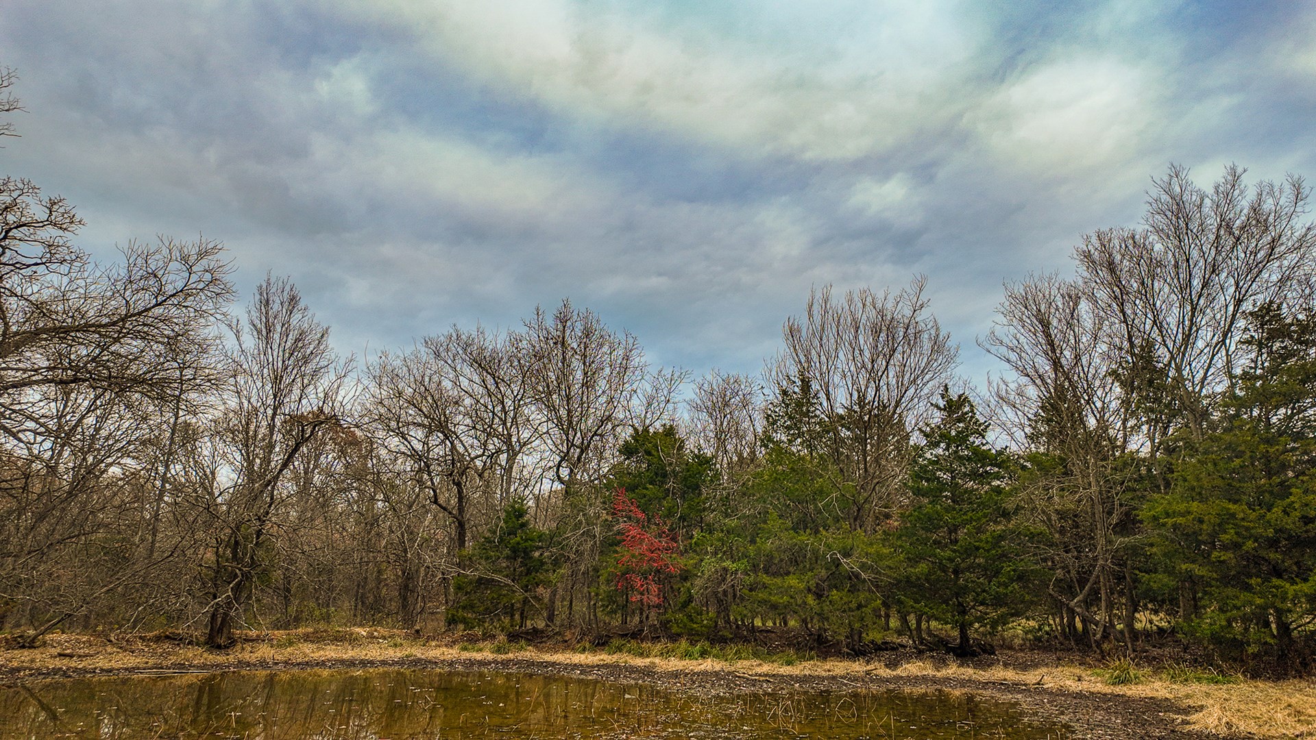 293 +/- acre hunting property for sale Lowry City MO