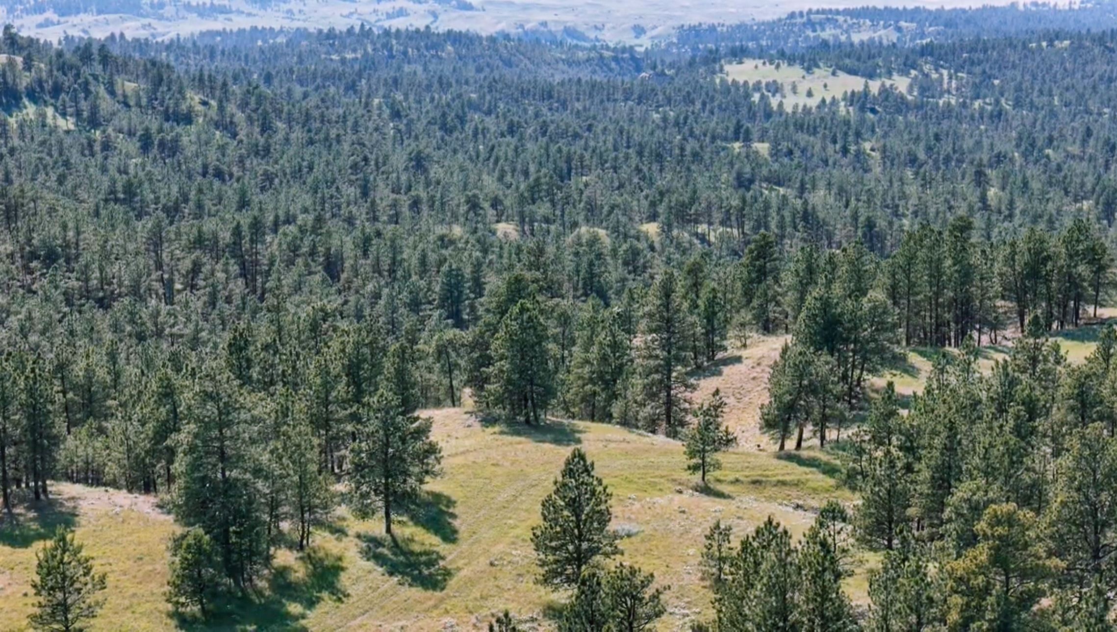 Pine Ridge Sanctuary-Premier Montana Hunting Land near Billings