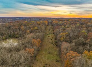 293 +/- acre hunting property for sale Lowry City MO