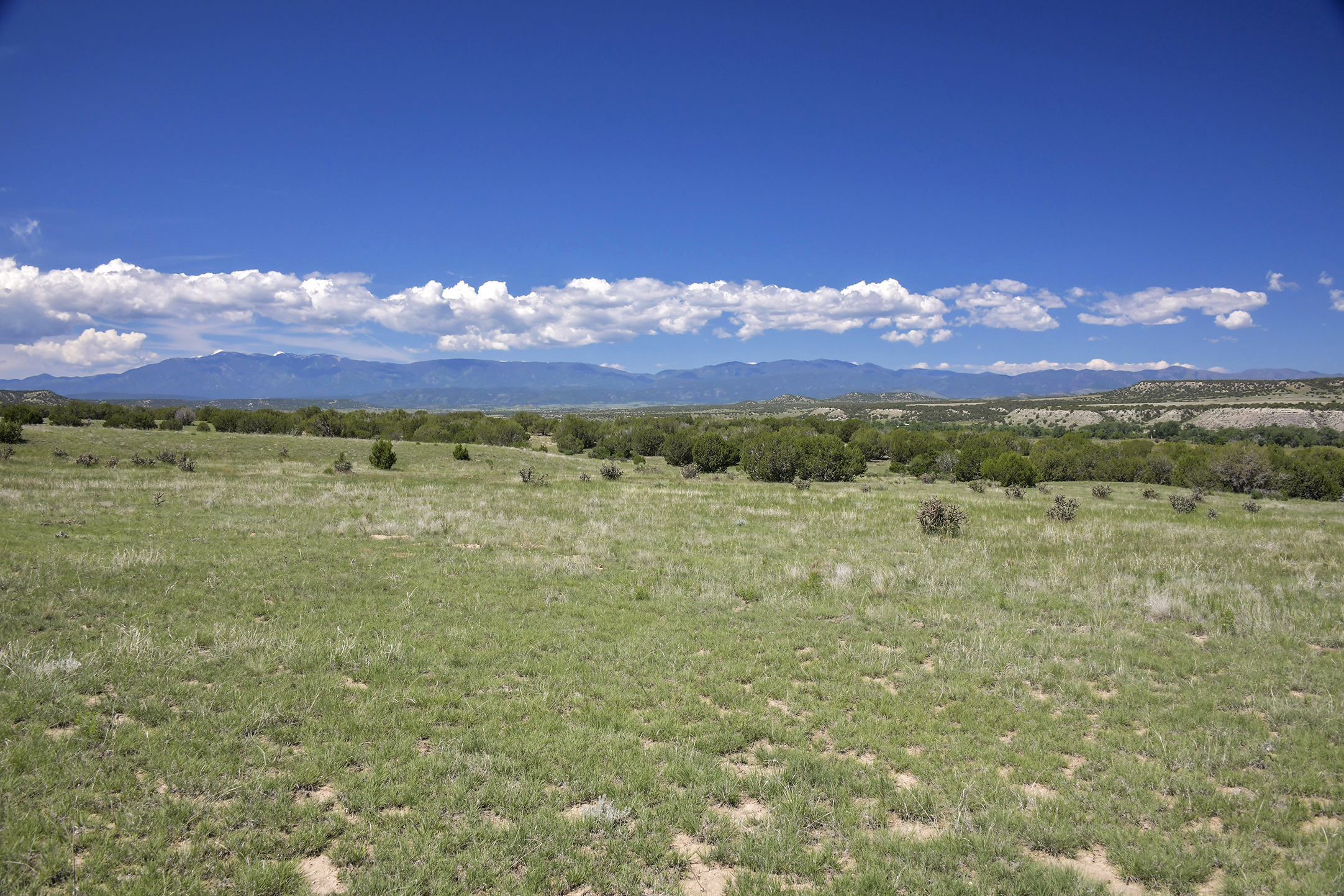 Burnt Mill Ranch – 643± Acres of Prime Colorado Ranchland