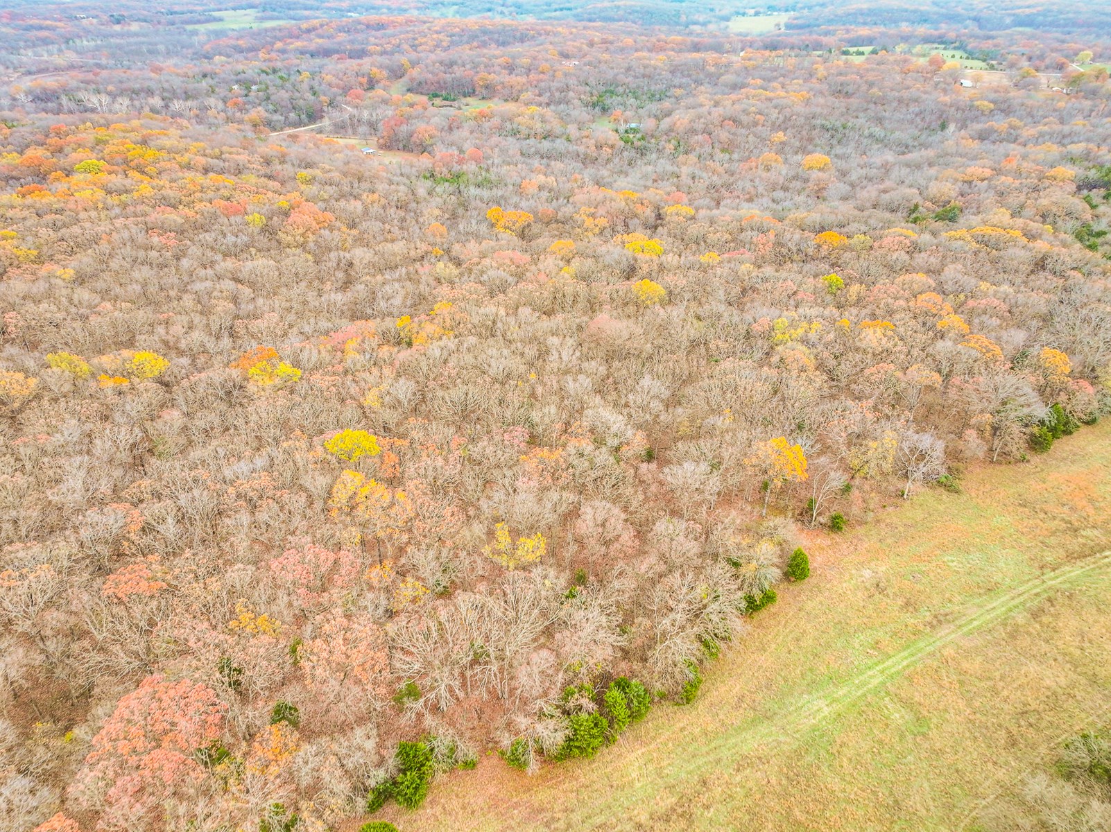 293 +/- acre hunting property for sale Lowry City MO