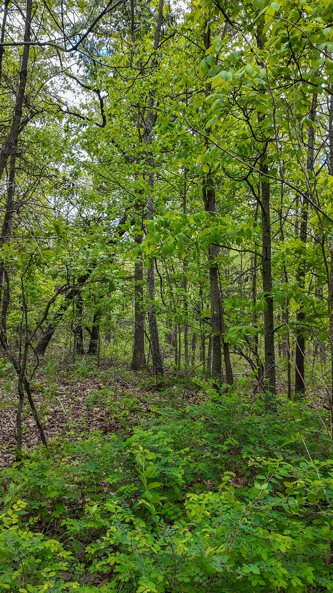 St. Clair County MO Recreational Land