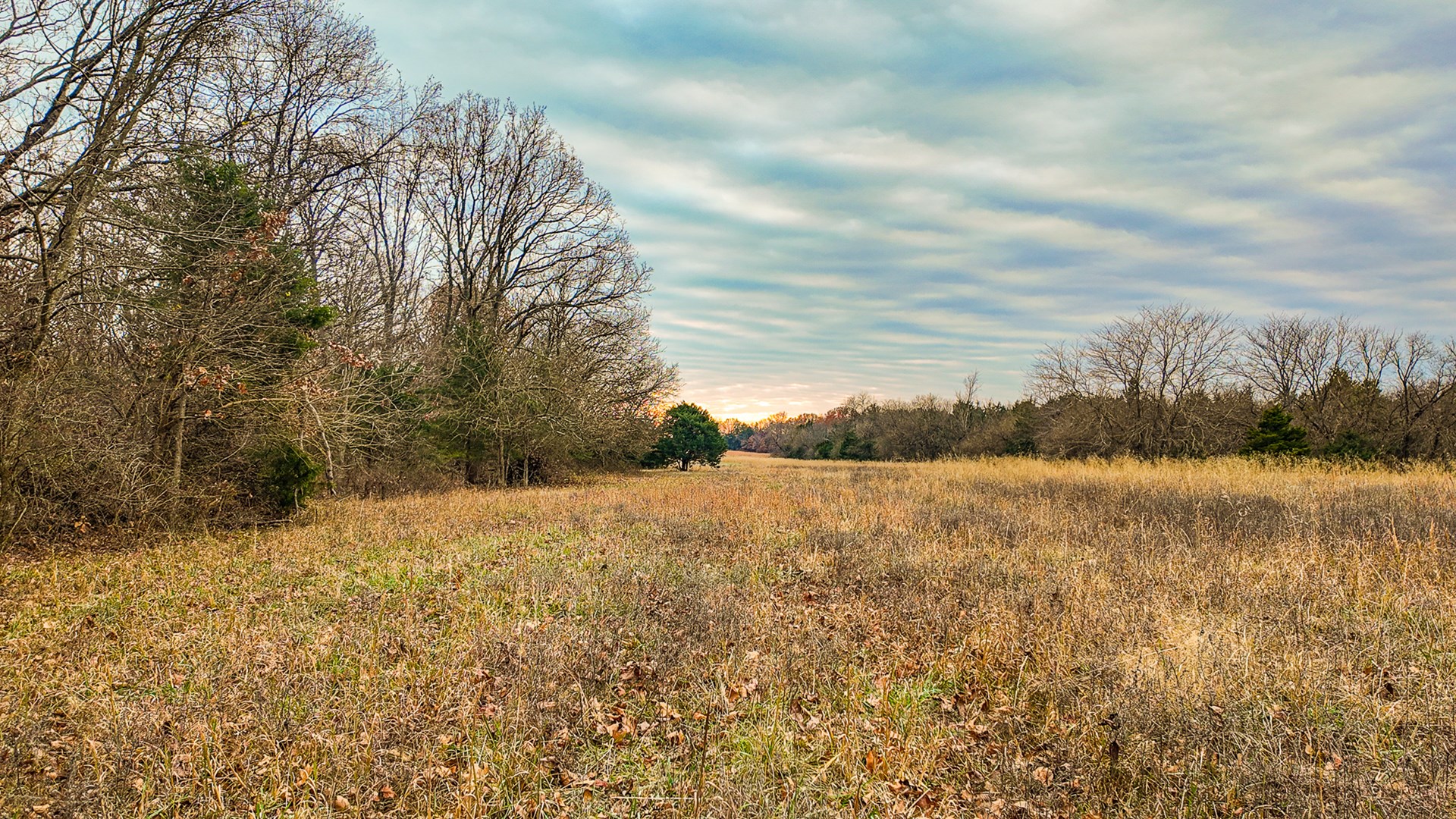293 +/- acre hunting property for sale Lowry City MO