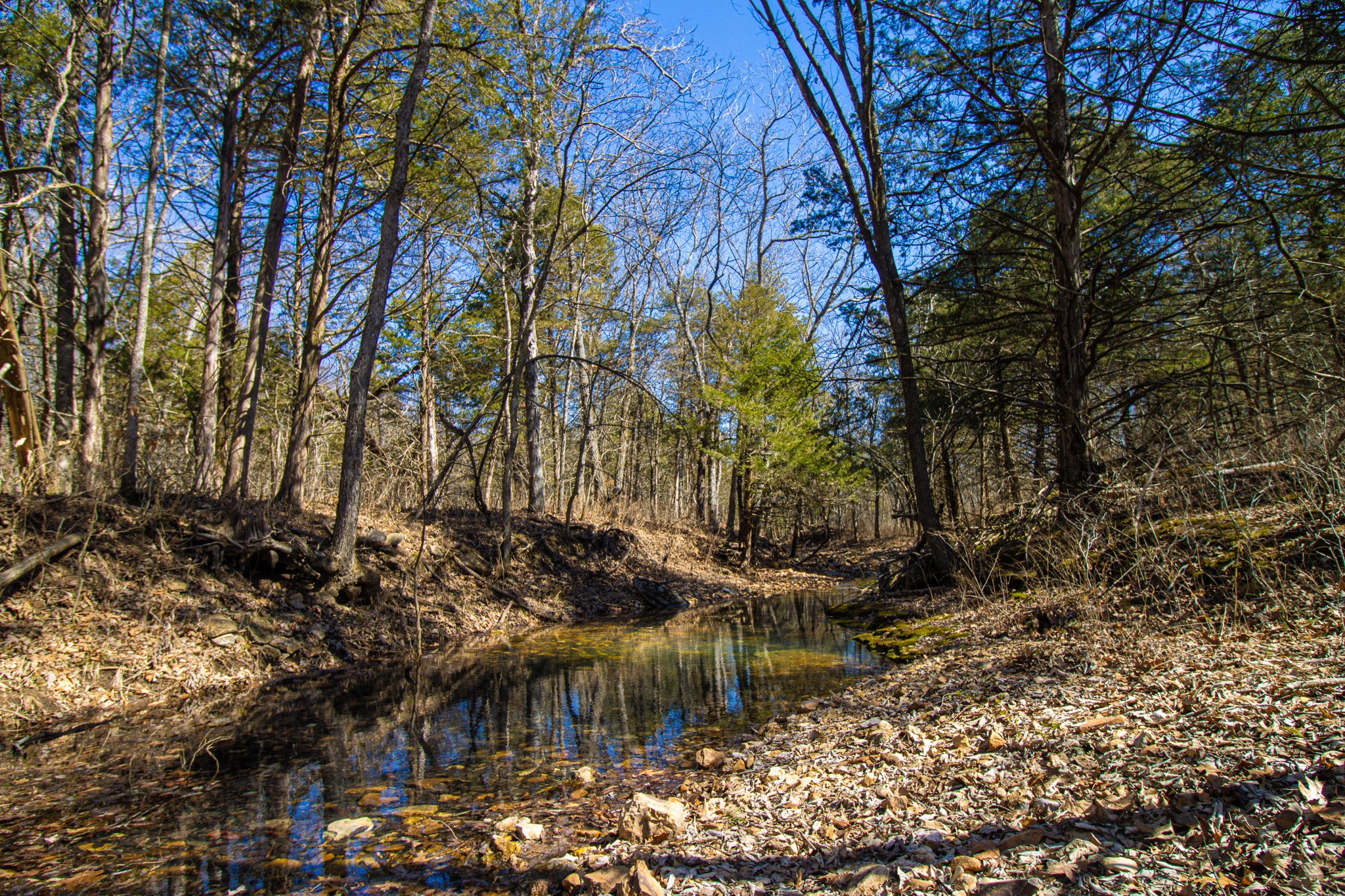 89+/- Acre Hunting property with a nice home and shop