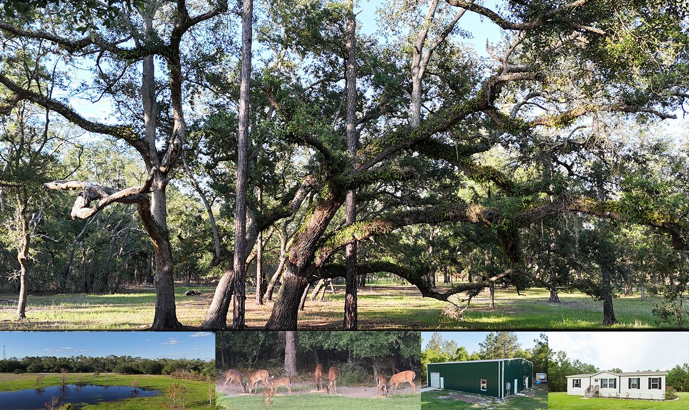 North Florida Recreational and Hunting Acreage