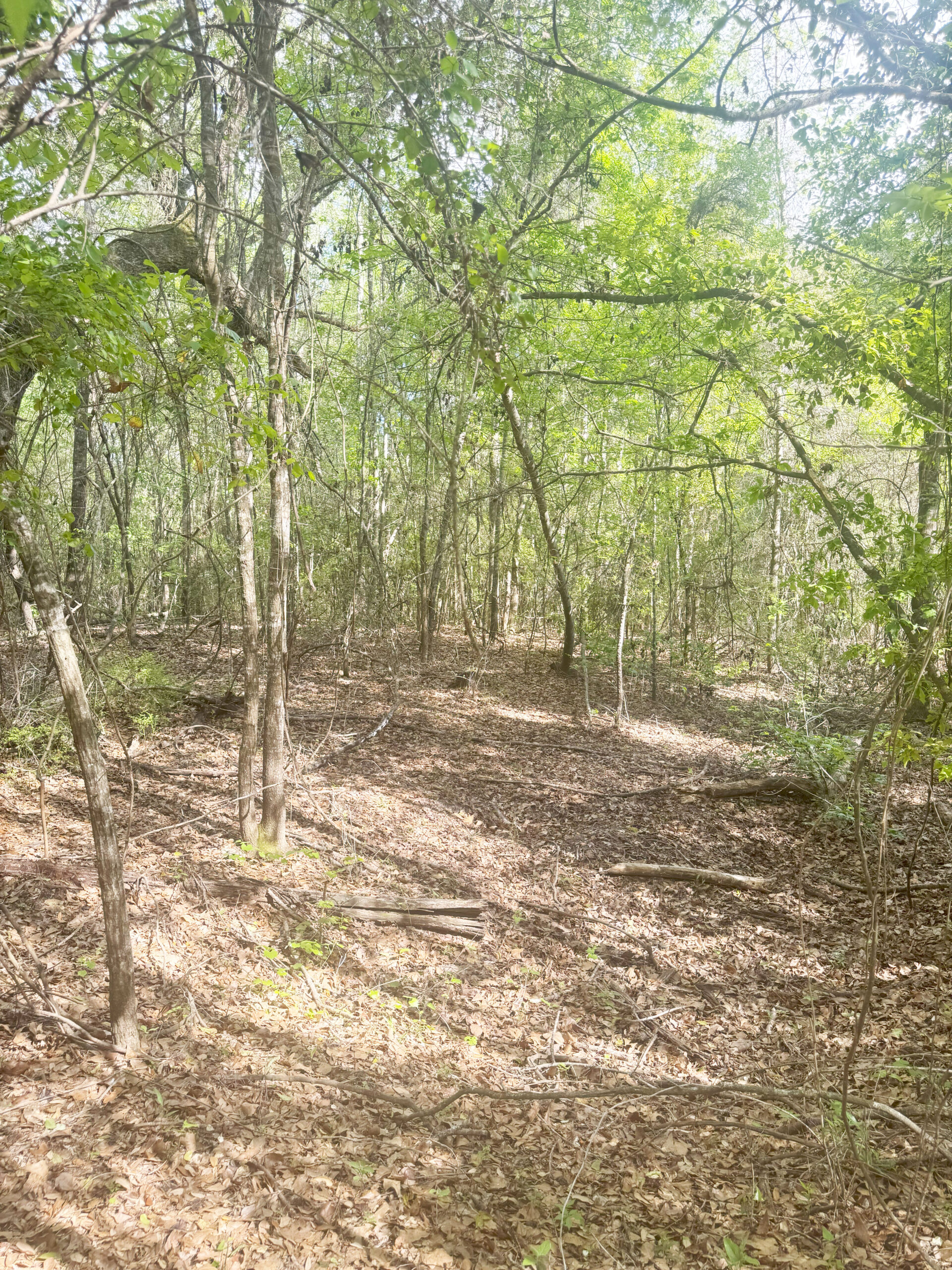 The best of South Georgia living-just outside of Vada, GA