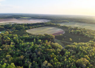 The best of South Georgia living-just outside of Vada, GA