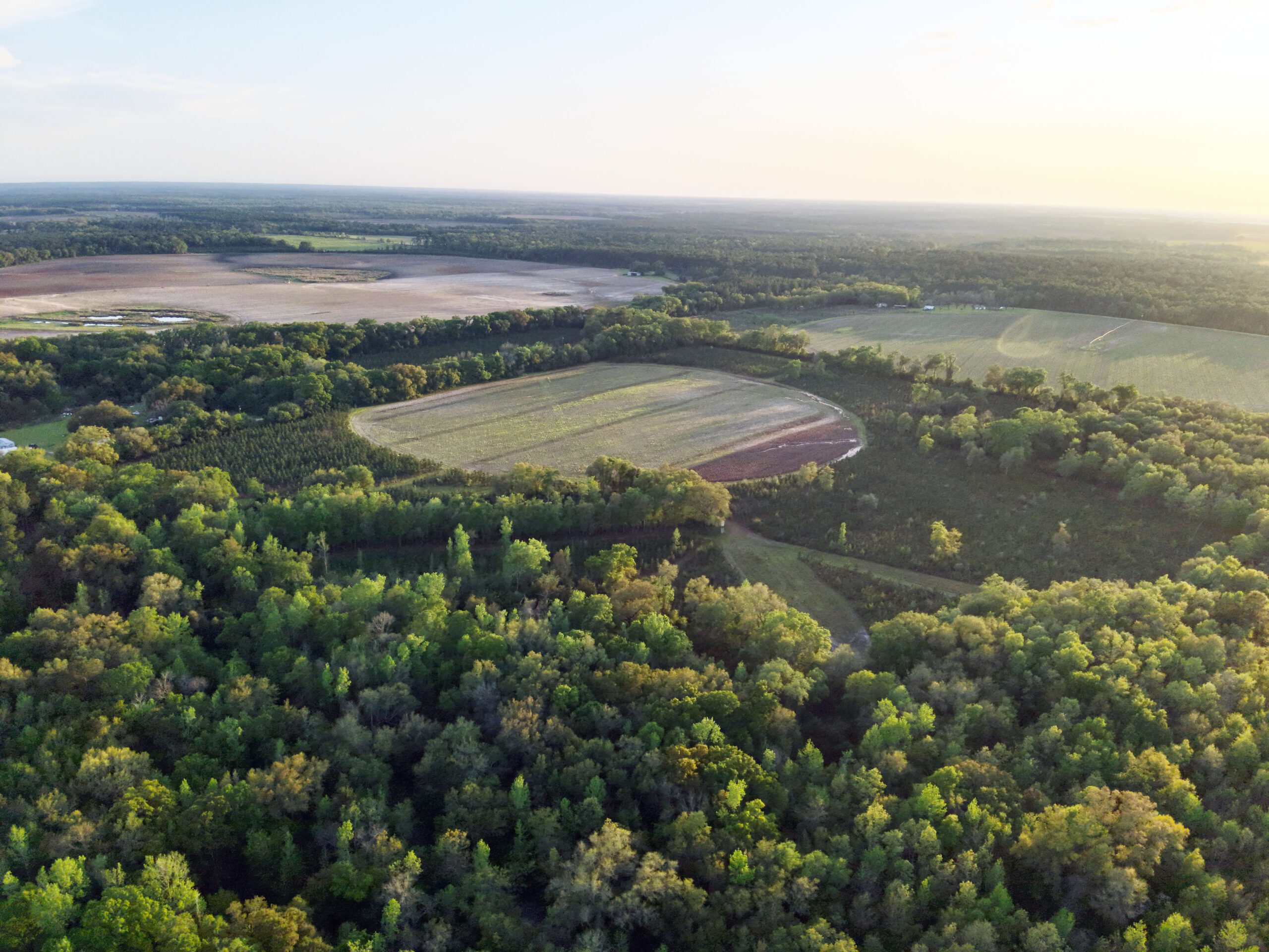 The best of South Georgia living-just outside of Vada, GA
