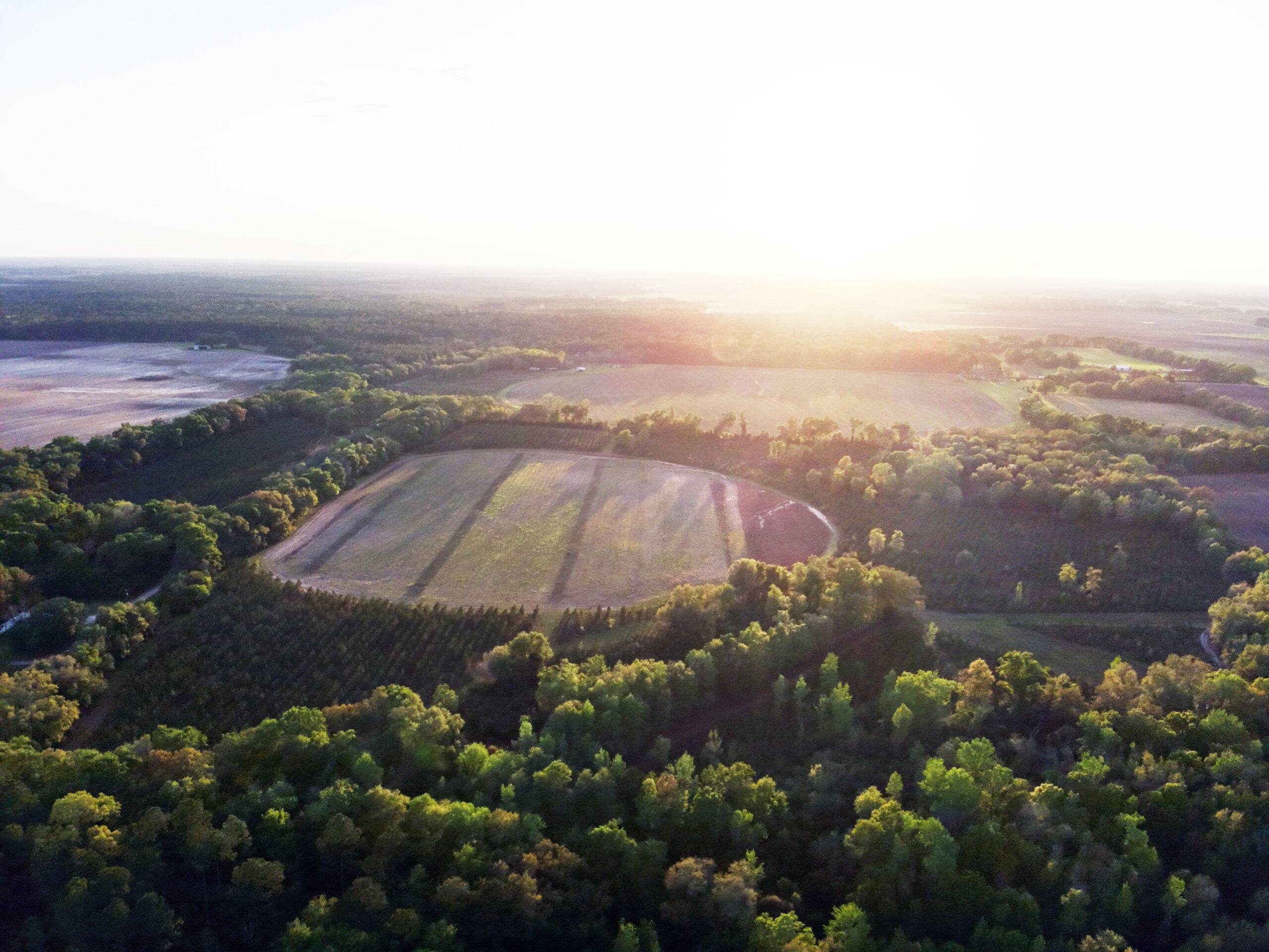 The best of South Georgia living-just outside of Vada, GA