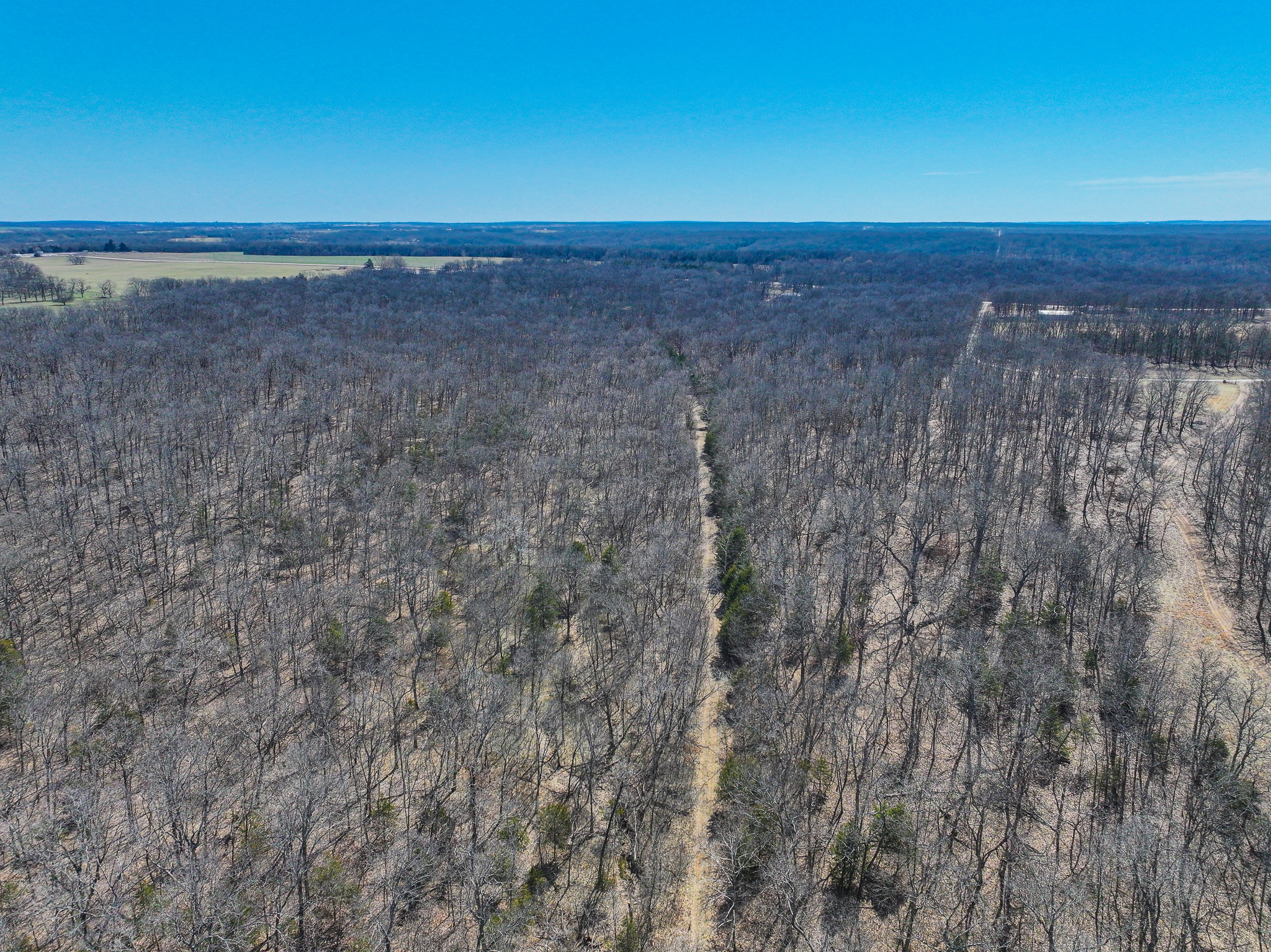 89+/- Acre Hunting property with a nice home and shop