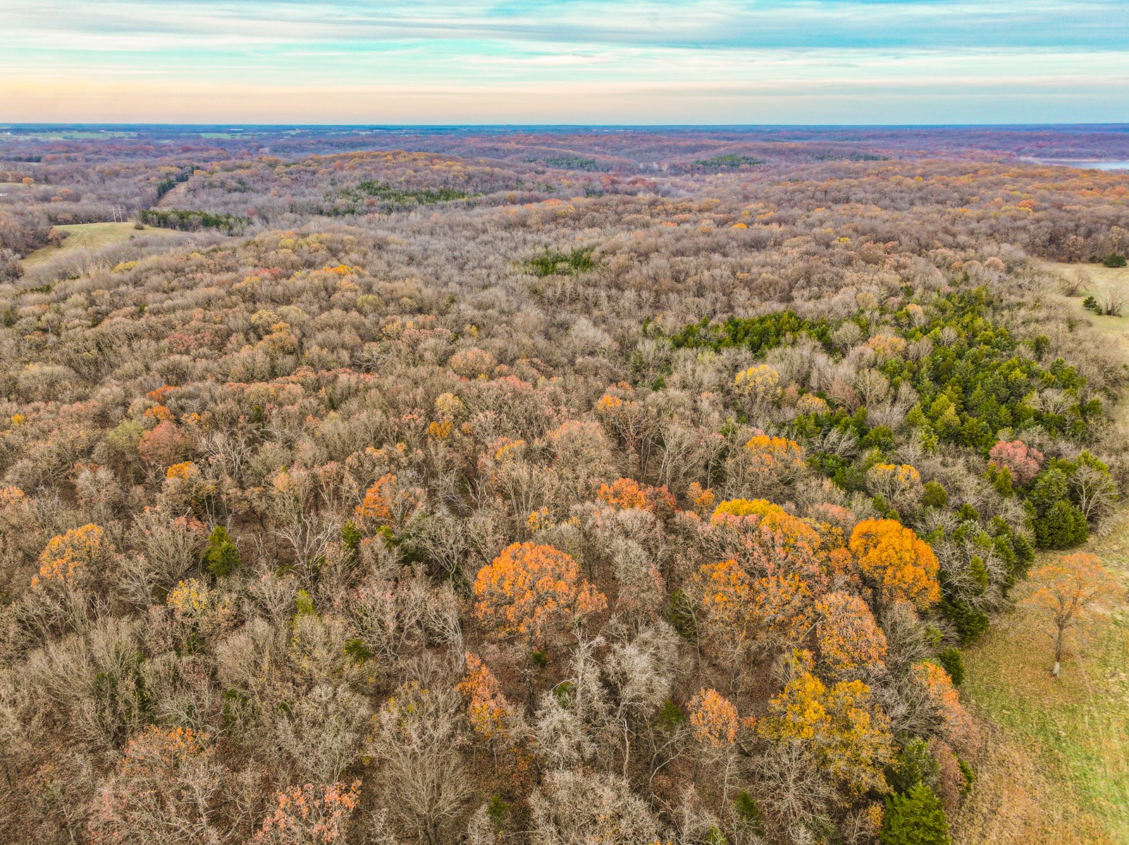 293 +/- acre hunting property for sale Lowry City MO