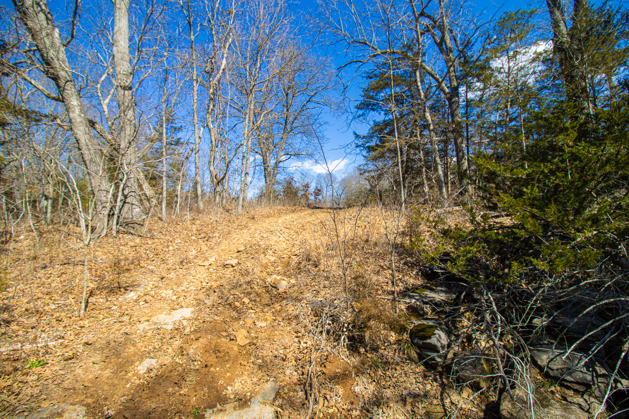 89+/- Acre Hunting property with a nice home and shop