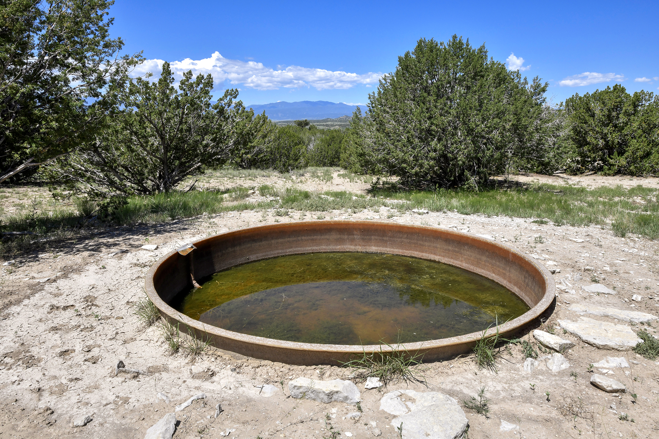 Burnt Mill Ranch – 643± Acres of Prime Colorado Ranchland