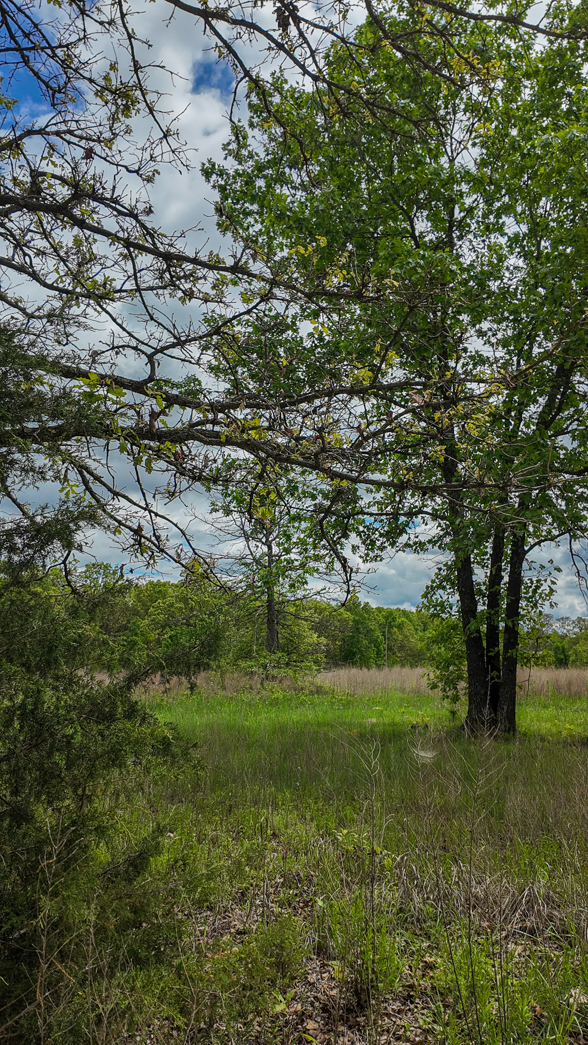 St. Clair County MO Recreational Land