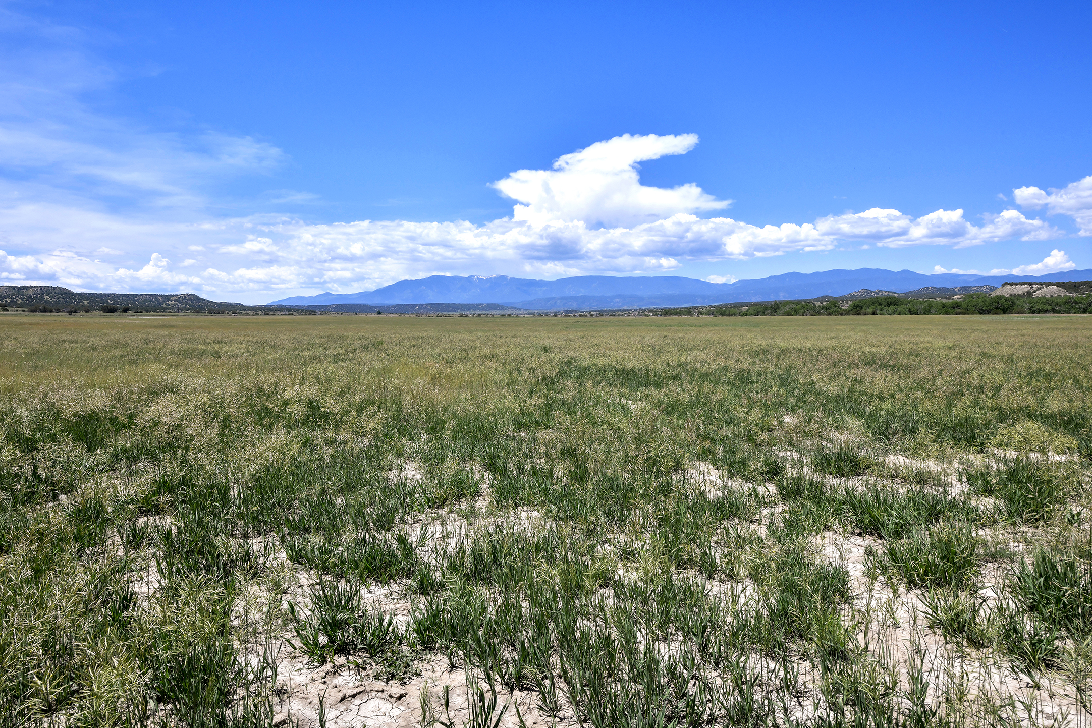 Burnt Mill Ranch – 643± Acres of Prime Colorado Ranchland