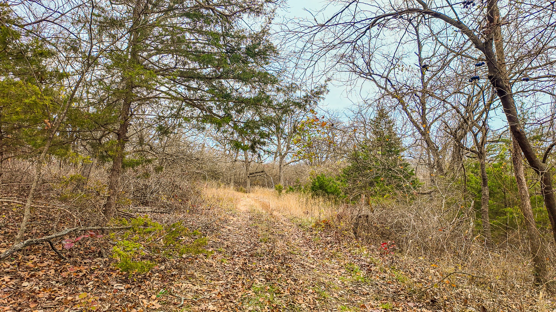 293 +/- acre hunting property for sale Lowry City MO