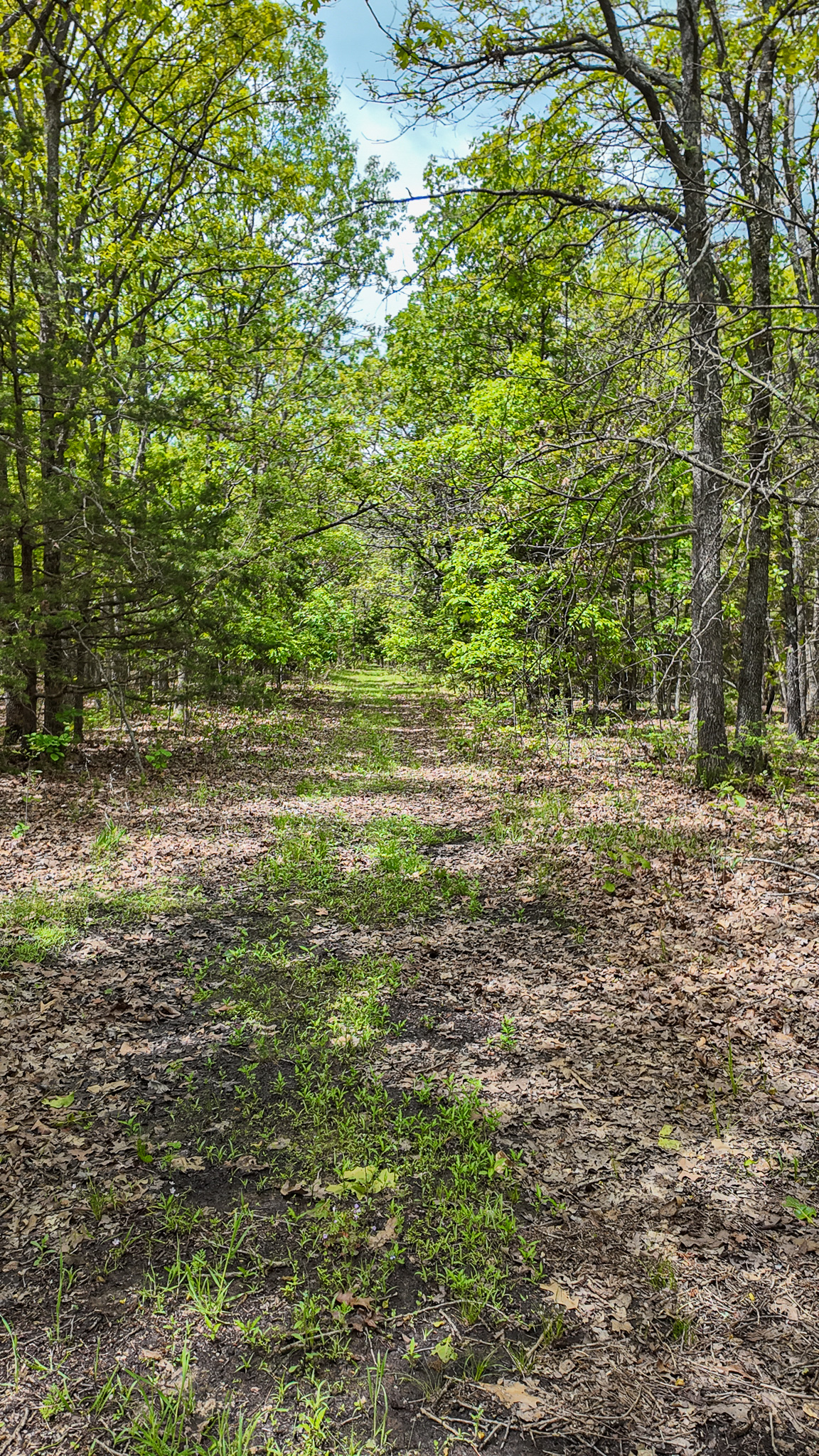 St. Clair County MO Recreational Land