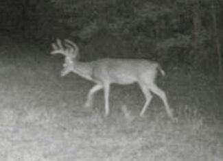 East Texas Hunting/Recreational Land For Sale