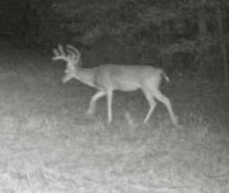 East Texas Hunting/Recreational Land For Sale