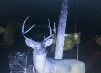 East Texas Hunting/Recreational Land For Sale