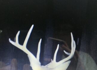 East Texas Hunting/Recreational Land For Sale