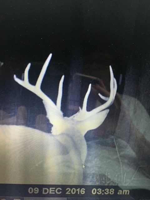 East Texas Hunting/Recreational Land For Sale