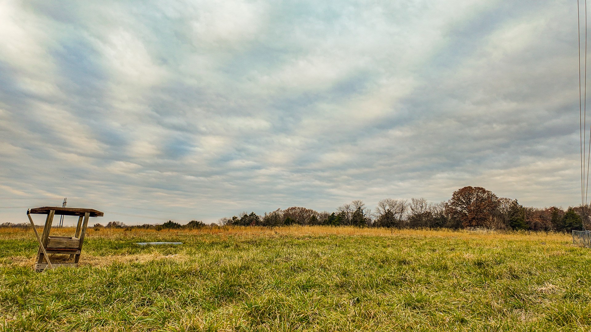 293 +/- acre hunting property for sale Lowry City MO