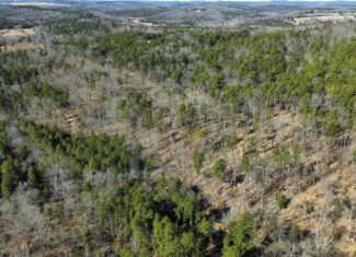 LAND FOR SALE IN NORTH CENTRAL ARKANSAS