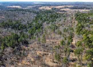 LAND FOR SALE IN NORTH CENTRAL ARKANSAS
