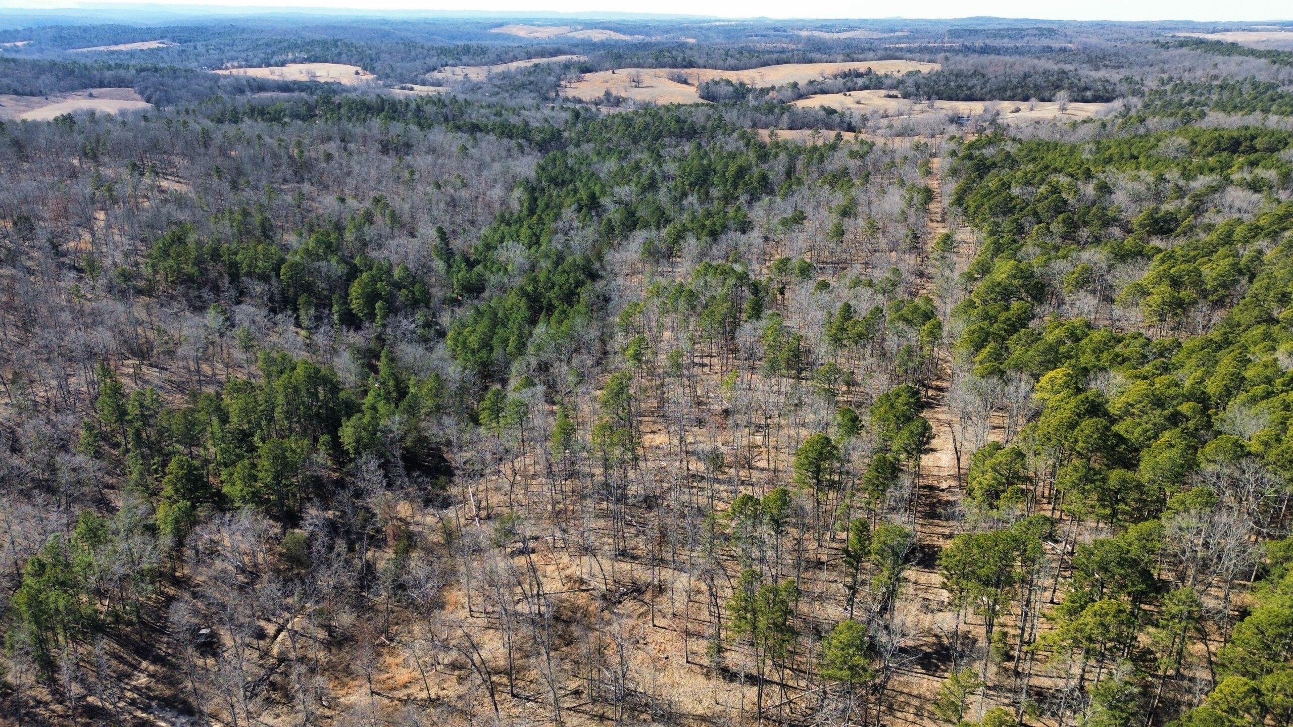 LAND FOR SALE IN NORTH CENTRAL ARKANSAS