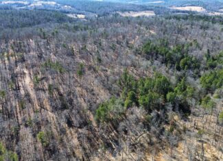LAND FOR SALE IN NORTH CENTRAL ARKANSAS