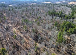 LAND FOR SALE IN NORTH CENTRAL ARKANSAS