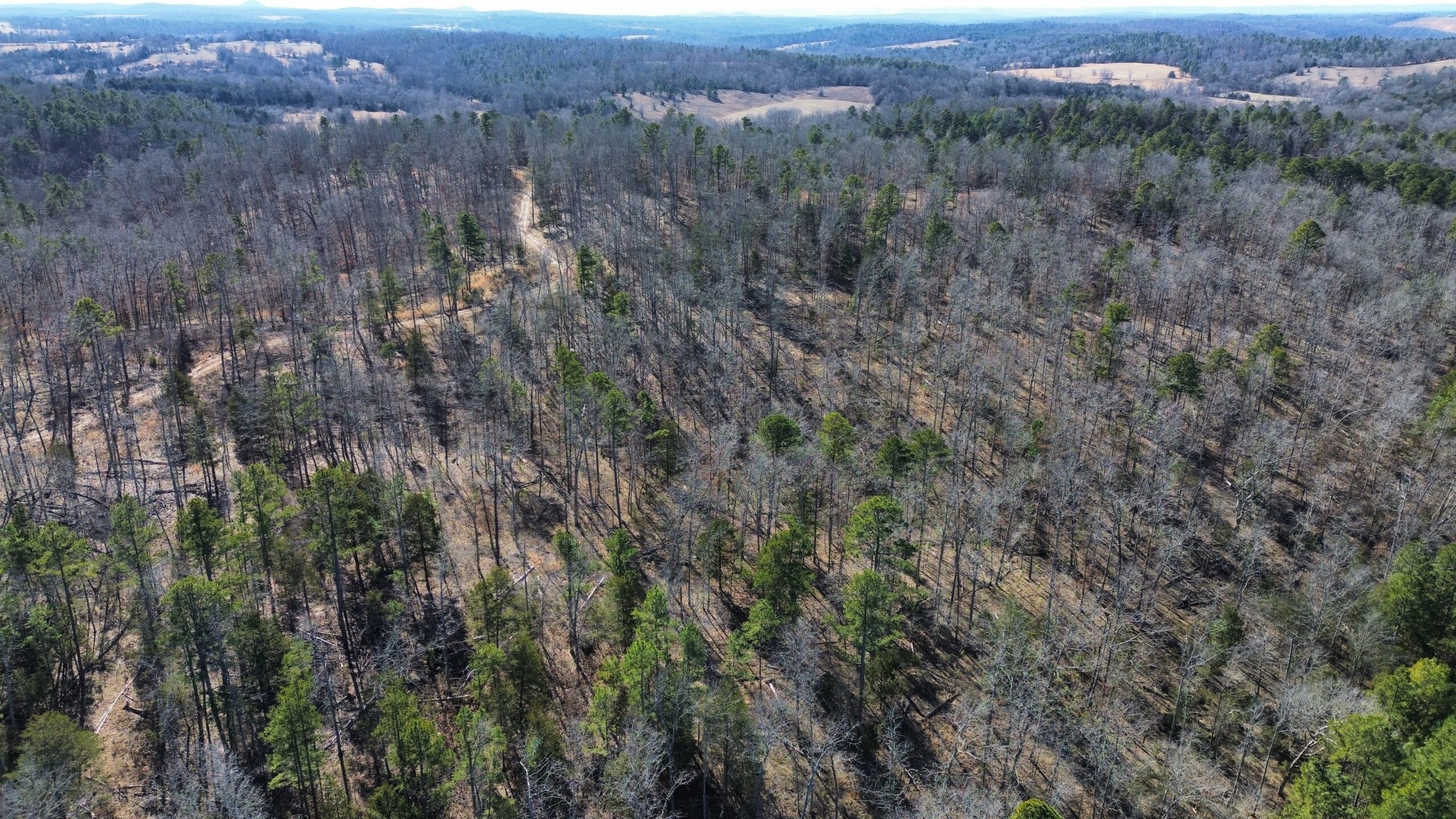 LAND FOR SALE IN NORTH CENTRAL ARKANSAS