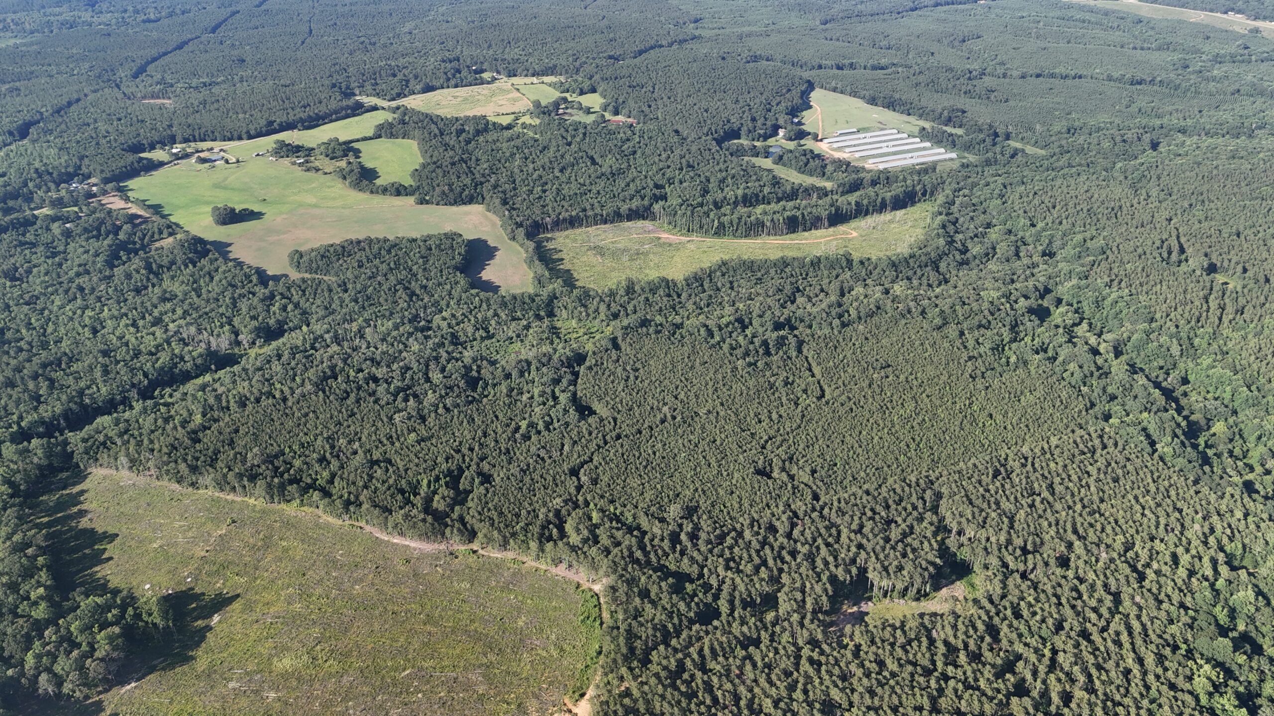 64 acres in Olgethorpe county with an off grid cabin – Ready for deer season!