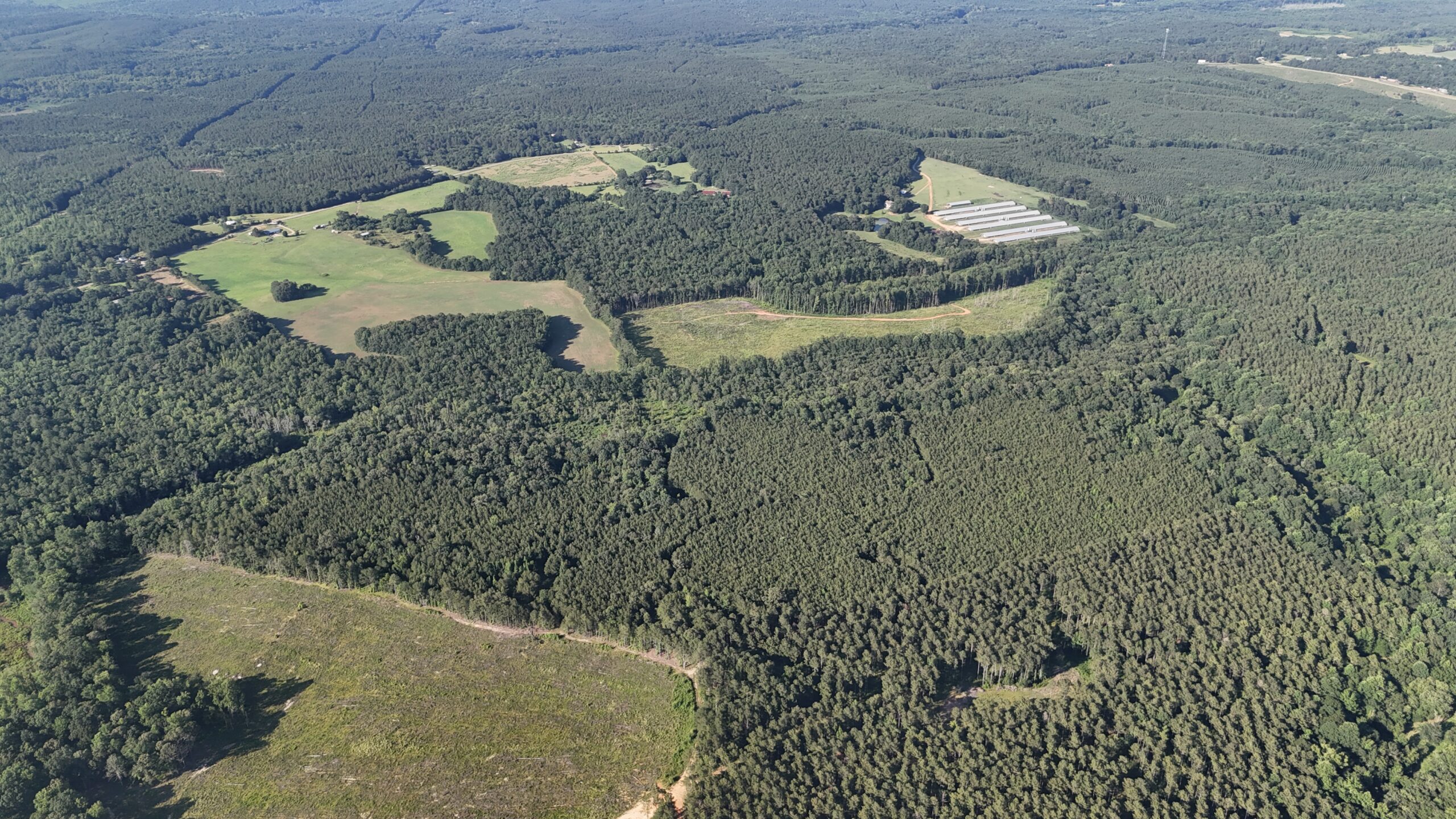 64 acres in Olgethorpe county with an off grid cabin – Ready for deer season!