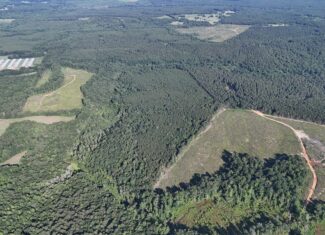 64 acres in Olgethorpe county with an off grid cabin – Ready for deer season!