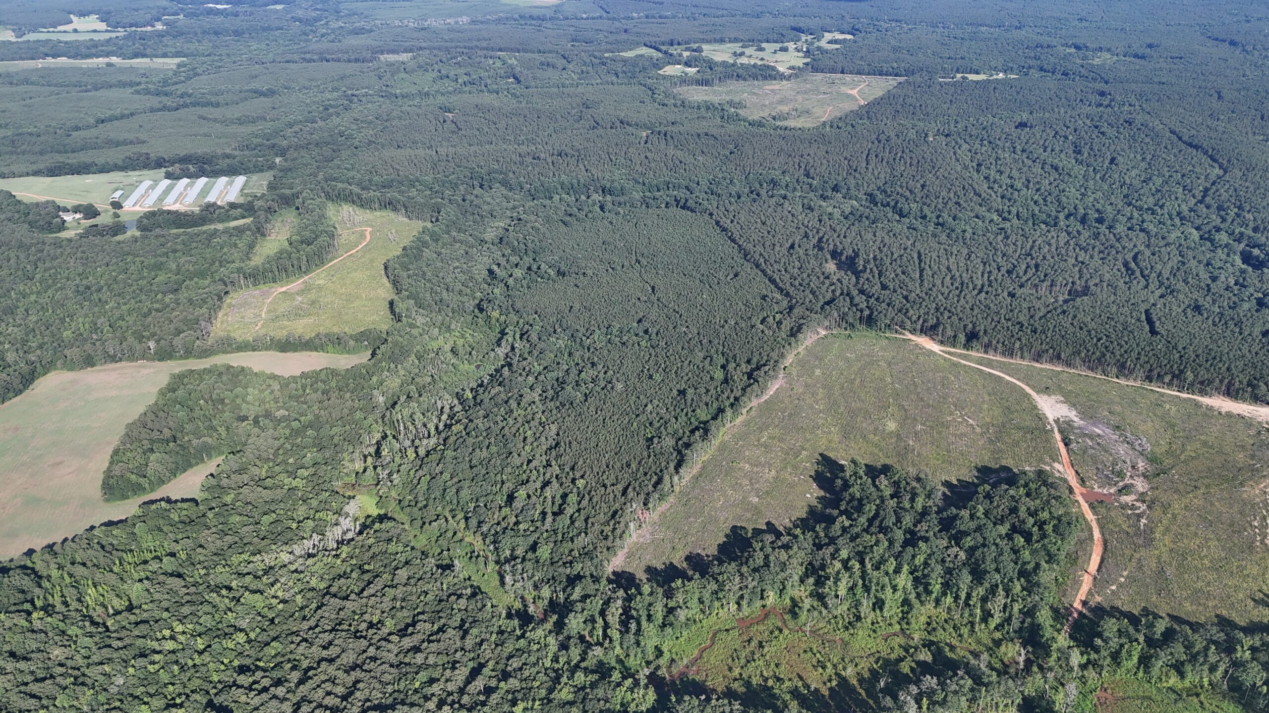 64 acres in Olgethorpe county with an off grid cabin – Ready for deer season!