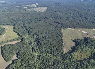 64 acres in Olgethorpe county with an off grid cabin – Ready for deer season!