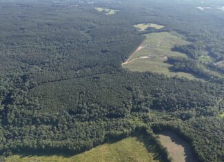 64 acres in Olgethorpe county with an off grid cabin – Ready for deer season!