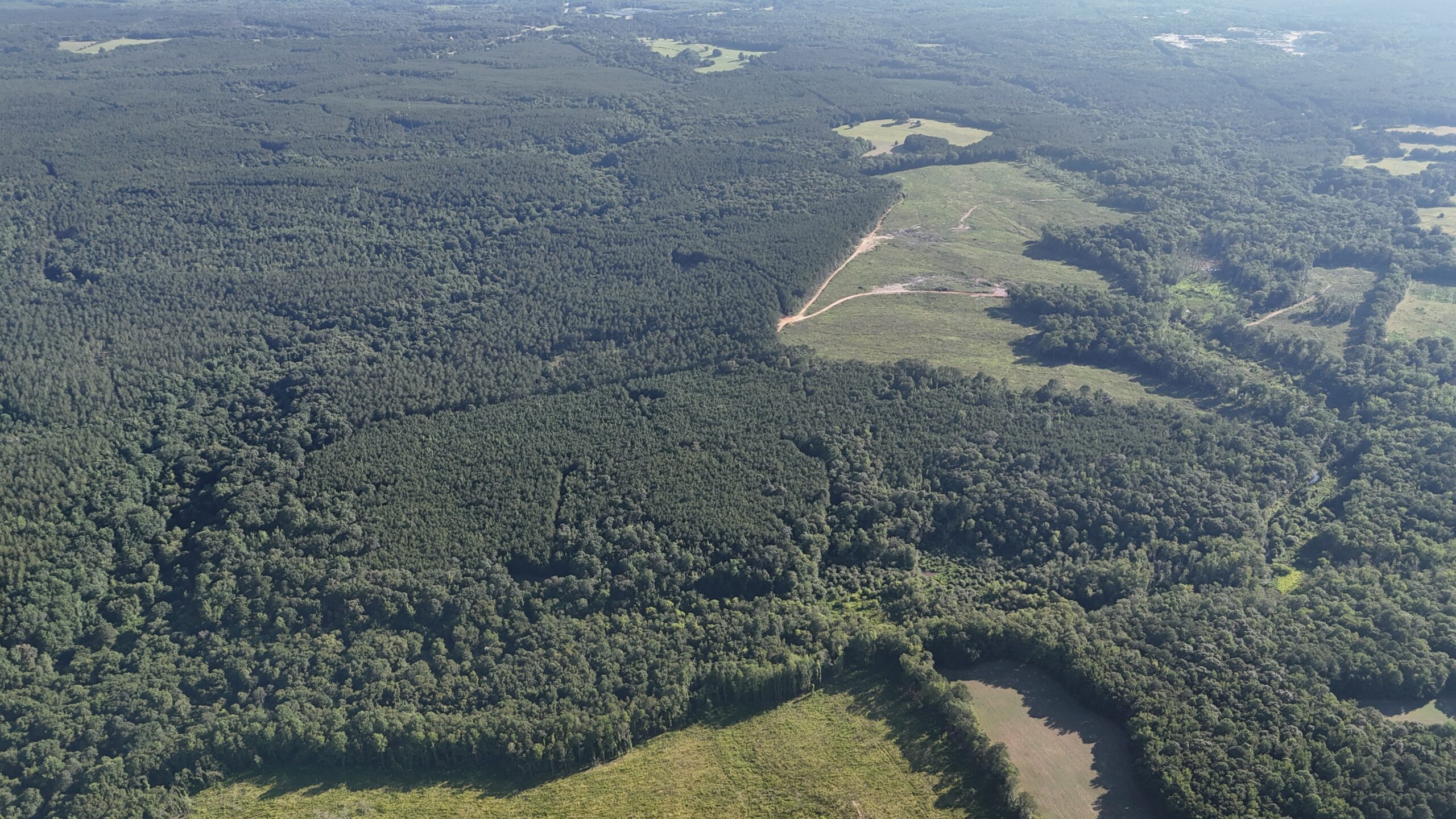 64 acres in Olgethorpe county with an off grid cabin – Ready for deer season!
