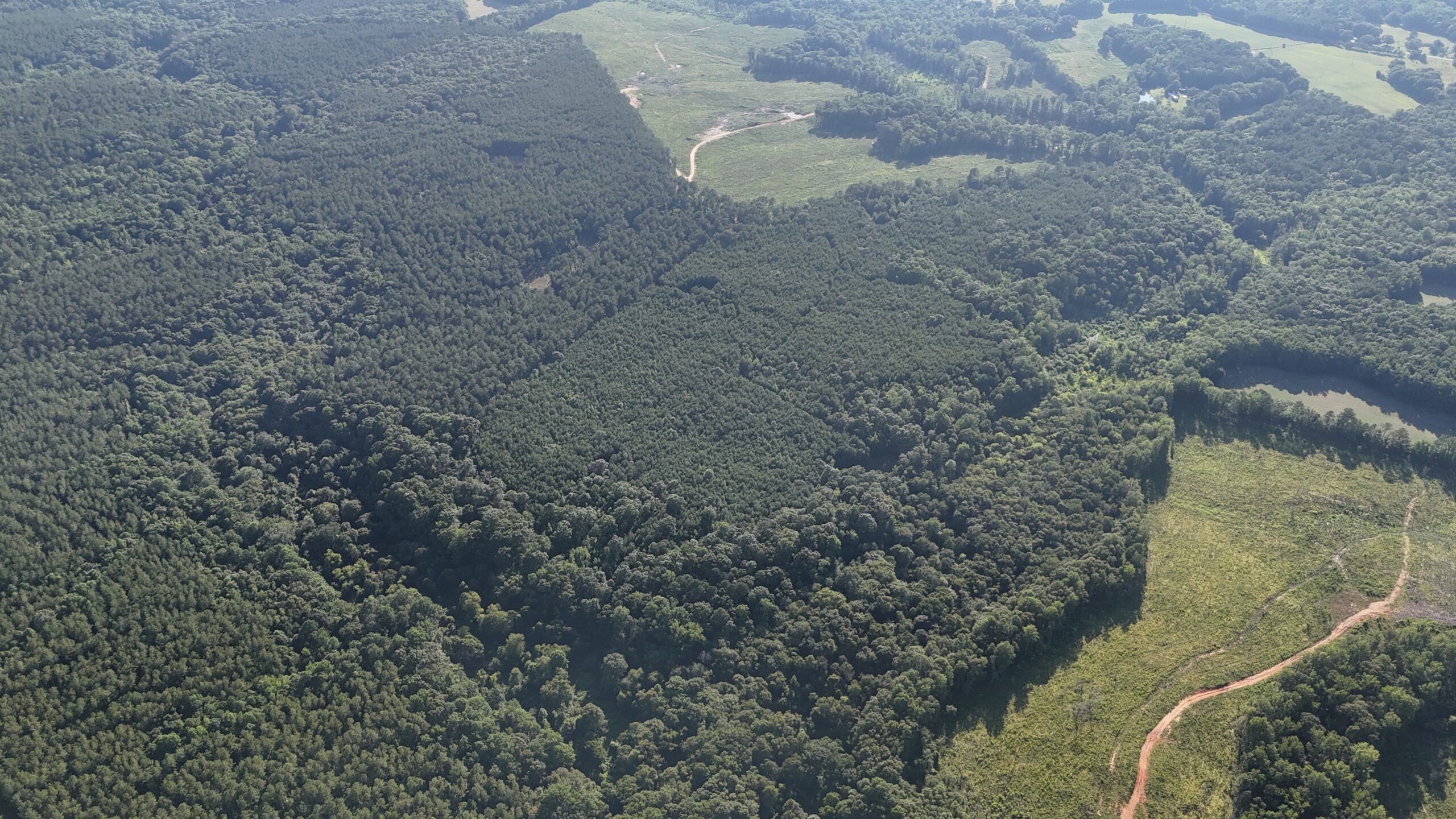64 acres in Olgethorpe county with an off grid cabin – Ready for deer season!
