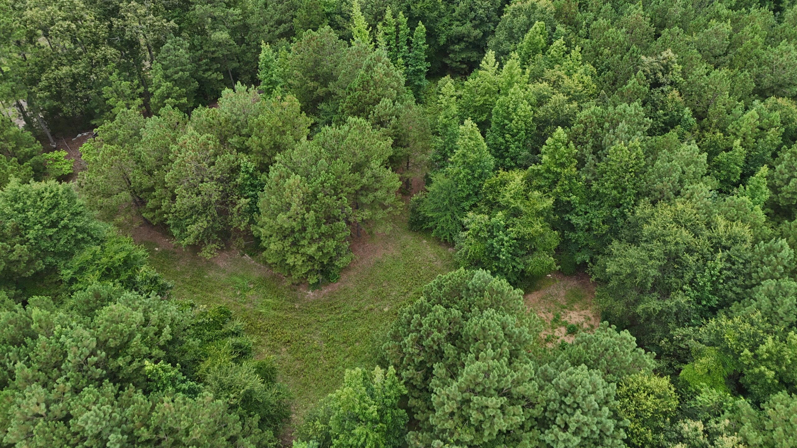 64 acres in Olgethorpe county with an off grid cabin – Ready for deer season!