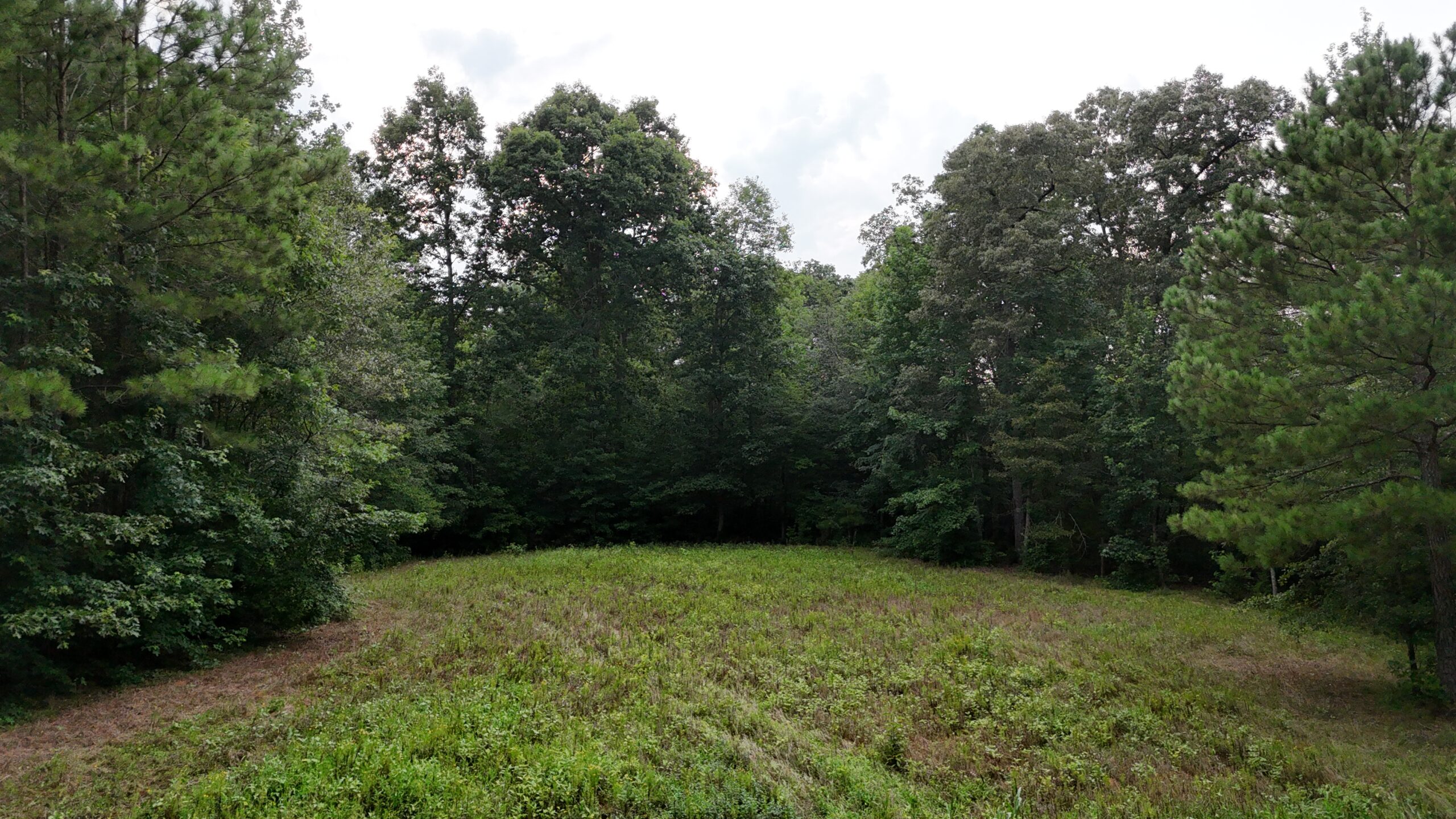 64 acres in Olgethorpe county with an off grid cabin – Ready for deer season!