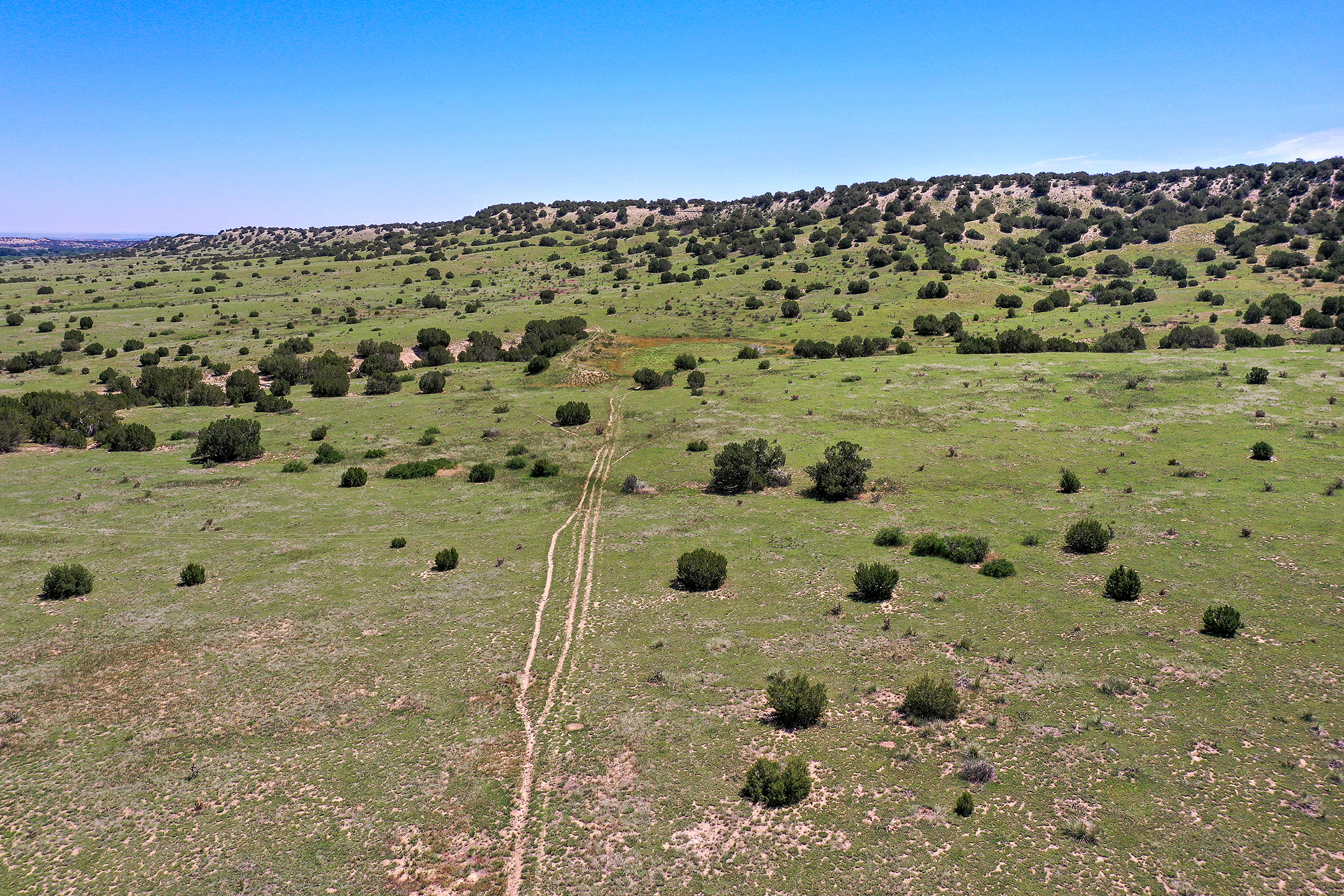 Burnt Mill Ranch – 643± Acres of Prime Colorado Ranchland