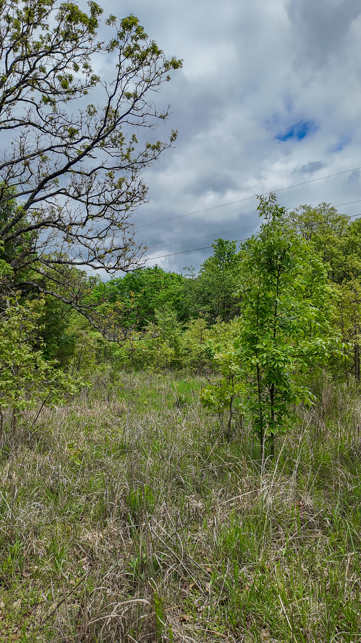 St. Clair County MO Recreational Land