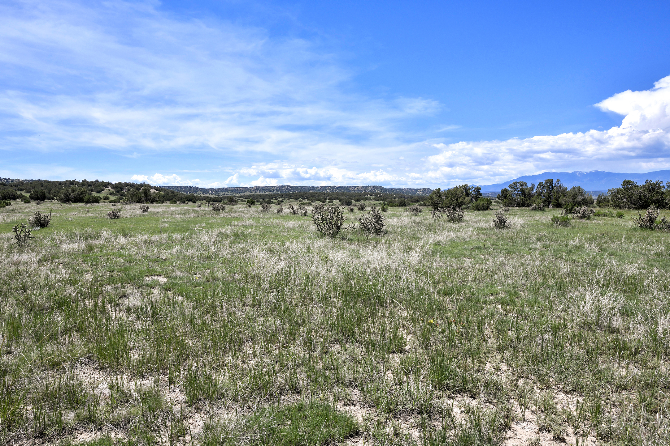 Burnt Mill Ranch – 643± Acres of Prime Colorado Ranchland